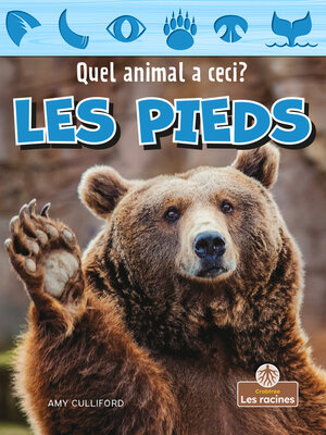 cover image of Les pieds